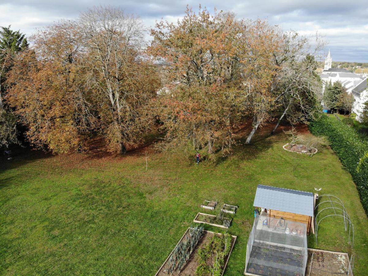 Domaine Du Moulin A Vent - Gite & Spa Saint-Florent-sur-Cher Εξωτερικό φωτογραφία